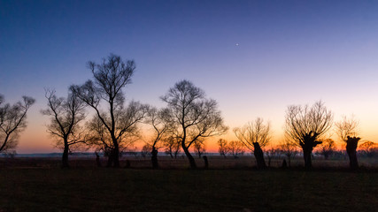 Narwiański Park Narodowy, Dolina Narwi, Podlasie, Polska © podlaski49