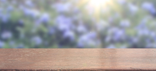 Nature background, Wood table display over blur green garden