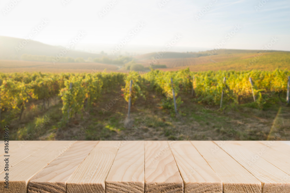 Wall mural sunny landscape of vineyard with green leaves and bottles of wine on table