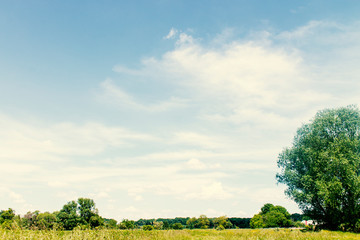 Fototapeta na wymiar countryside landscape, sky, field background,