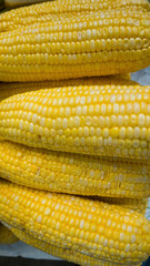 corn that has been peeled from