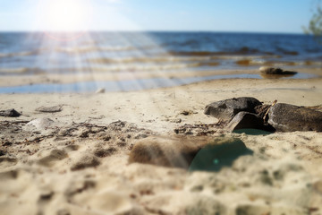 Summer seascape with sunbeam. Big stones on a sandy beach. Blurred sea on the horizon. Dreamy landscape. Rybinsk reservoir, Yaroslavl region, Russia