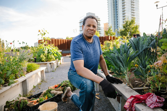 Portrait confident senior man tending to plants in urban community garden