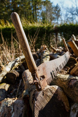 Close up of an old fashioned rusty 2 man saw sitting on a large pile of logs on a sunny day
