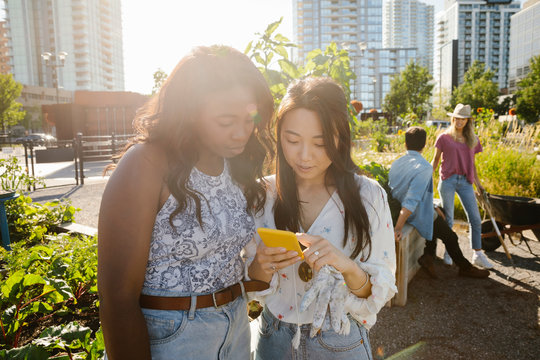 Young Women Friends Using Smart Phone In Sunny, Urban Community Garden