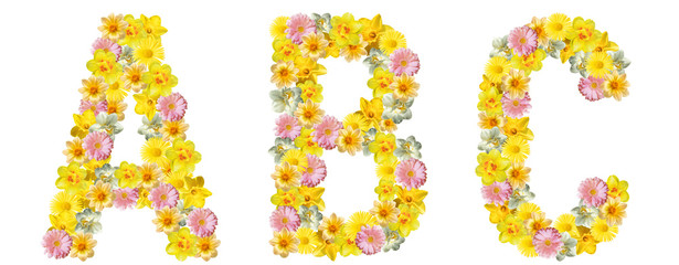 Letters of flowers. A, B, C. Yellow, white and pink flowers: daffodils, gerberas, daisies. Bright creative concept, white background. English alphabet. The concept of congratulations, spring, summer.