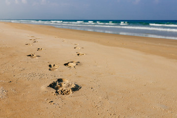 Empty tropical beach background