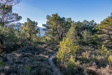 Fototapeta na wymiar Empty footpath in mountains of Provence, France