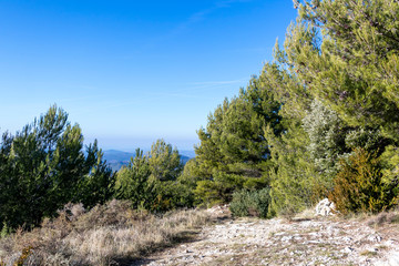 Empty footpath in mountains of Provence, France