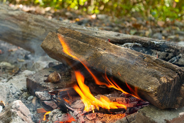 fire, close-up fire, tree burns