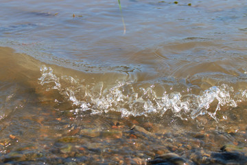 small river spray, close up