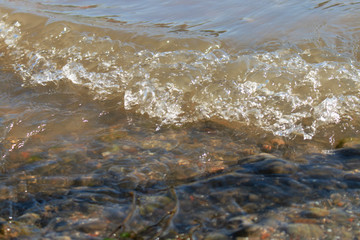 small river spray, close up