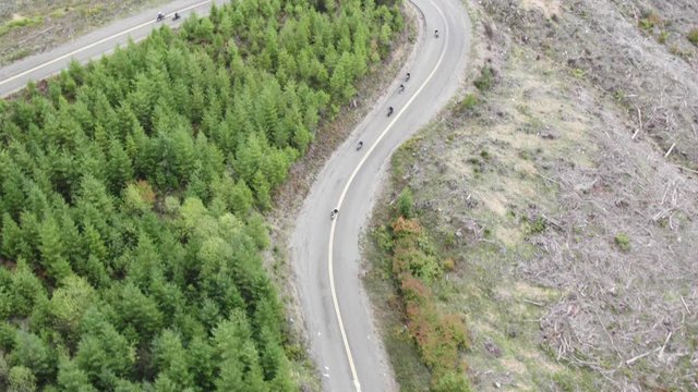 Aerial view of group of motorcycles riding together down forest lined road in Pacific Northwest