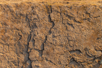 stone texture, close-up, rock near the river
