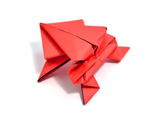 Origami on white background