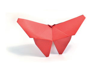 Origami on white background