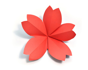 Origami on white background