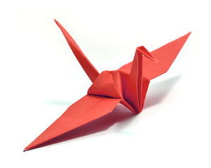 Origami on white background