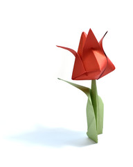 Origami on white background