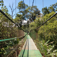 Im Tirimbina Reservat bei Puerto Viejo gelangt man über eine der längsten Hängebrücken Costa Ricas direkt in den tropischen Regenwald mit seiner exotischen Flora und Fauna