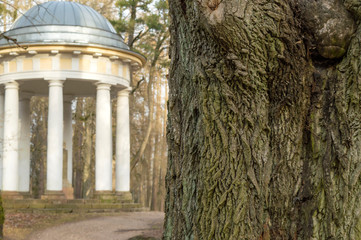 white painted garden gazebo in a city park. 