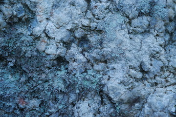 A closeup photo of bedrock, coloured light blue by quartz and light green by lichens