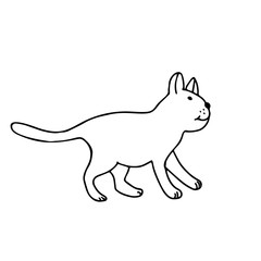 A cute cat in doodle style. Isolated outline. Hand drawn vector illustration in black ink on white background. Single picture for coloring books and design.
