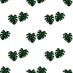 Seamless pattern of monstera on white background. Endless background for your design.