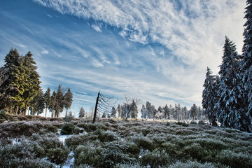 Schneebedeckte Waldlichtung im Winter wolkiger Himmel