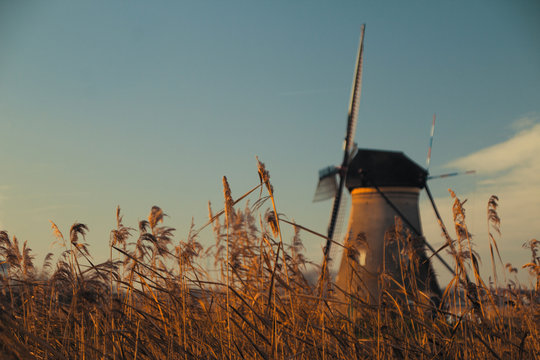 mulini di kinderdiij e grano desktop image background windmill