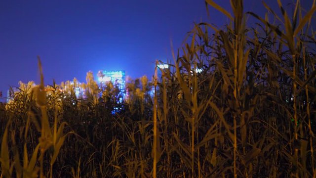 Modern city shows up under the field under the field of herbs in rural area