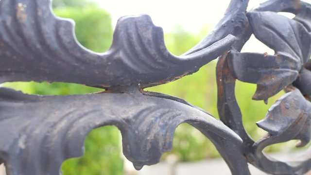 Close-up of dark metal flower decorative wrought iron fence in moving shot, outdoor shooting in natural summer daylight. Design, garden and pattern concepts.