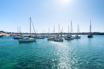 Obraz premium sailing boats moored to buoys in the port of Erquy in Brittany