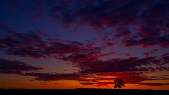 timelapse of alone Ash Tree on Limestone Pavement above Malham village in the Yorkshire Dales.