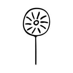 Dandelions flowers in doodle style. After the wind blows, empty. Black and white illustration, spring and summer flower vector