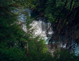 Impressive Taitnapum falls with a large watershed in the Gifford Pinchot National Forest surrounded by trees and branches on the Lewis River Skamania county in the summertime.