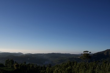 Forest railway in the mountain  and view point with blue sky green leaf and tea garden 