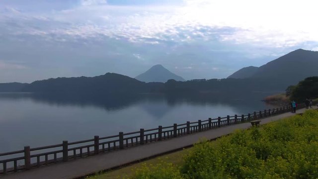 Flying Past Yellow Nanohana Flowers Towards Ikeda Lake and Kaimondake Mountain