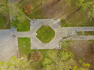 Aerial drone view. Footpaths in the Kiev park between poplars.