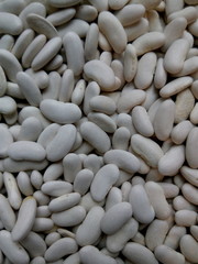 Closeup of white beans in the winter at the cottage