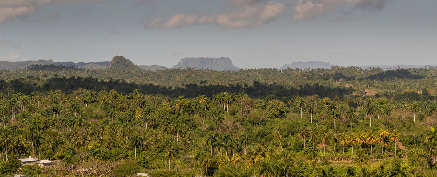  Cuban Tropical Scenery