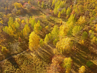 Aerial drone view. Autumn foilage park.