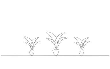 Plants in pot on table concept vector illustration