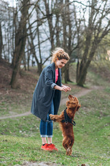 Brown english cocker spaniel playing with his owner and staying to hind legs