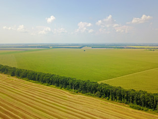 Aerial drone view. Green agricultural field