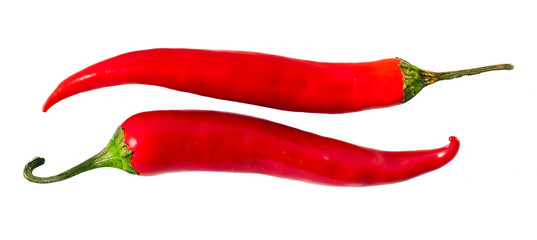 Autumn harvest. Red hot chili pepper isolated on a white background.  Spicy food concept.