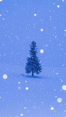 クリスマスツリーの木　雪　縦