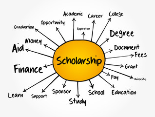 Scholarship mind map flowchart, education concept for presentations and reports