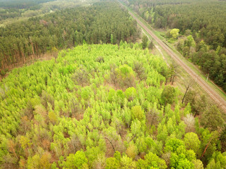 Aerial drone view. Railroad among the green forest.