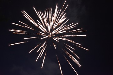 Obraz premium fireworks in the night sky